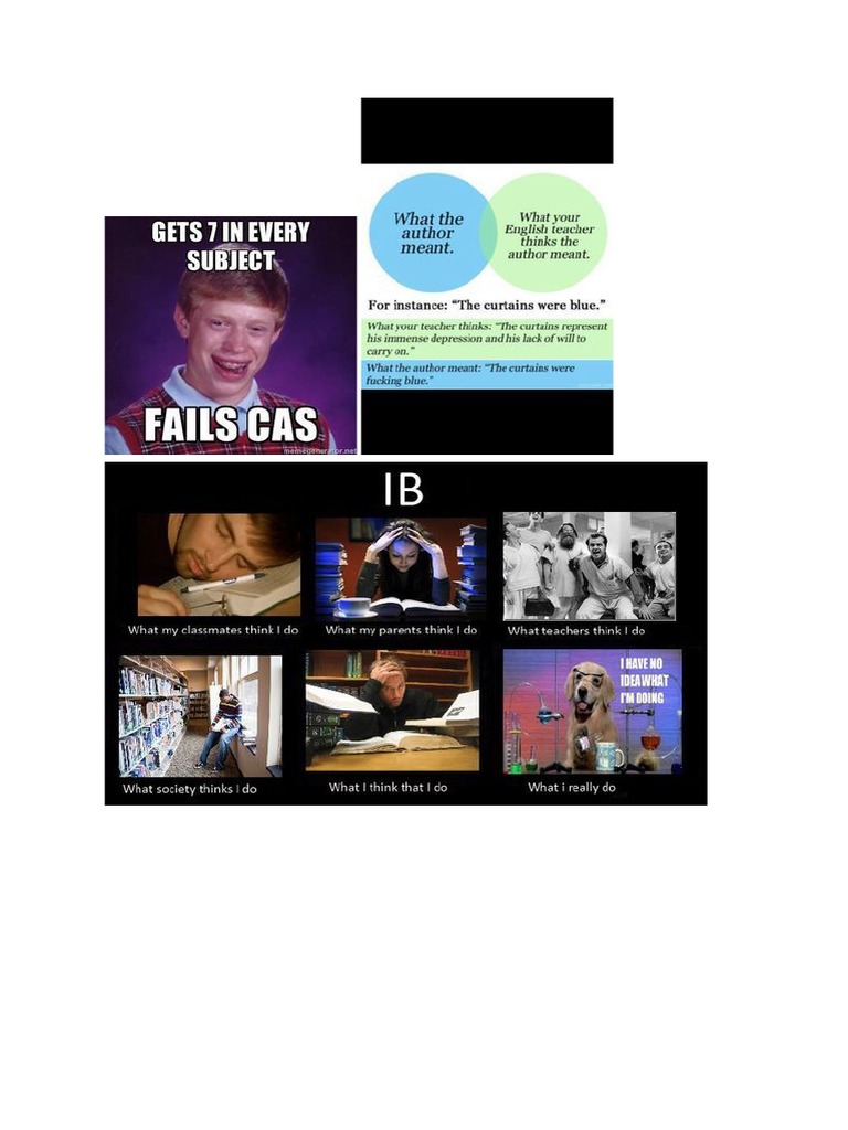 IB Memes and Jokes | PDF