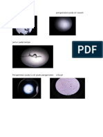 Gambar Mikrobiologi Print