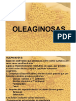 Oleaginosas. Generalidades