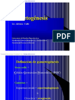 Gametogenesis.pdf