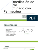 Biorremediación de suelo contaminado con Permetrina