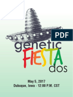 Fiesta 2017 Web2-2