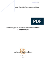 Criminologia: Da Busca Da "Verdade Científica" À Fragmentação