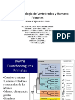 013a PAVYH Euarchontoglires Primates PDF