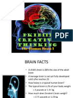 Week2 the Human Brain 1