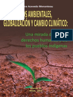 Desplazamiento Ambiental OC - IGIA FINAL