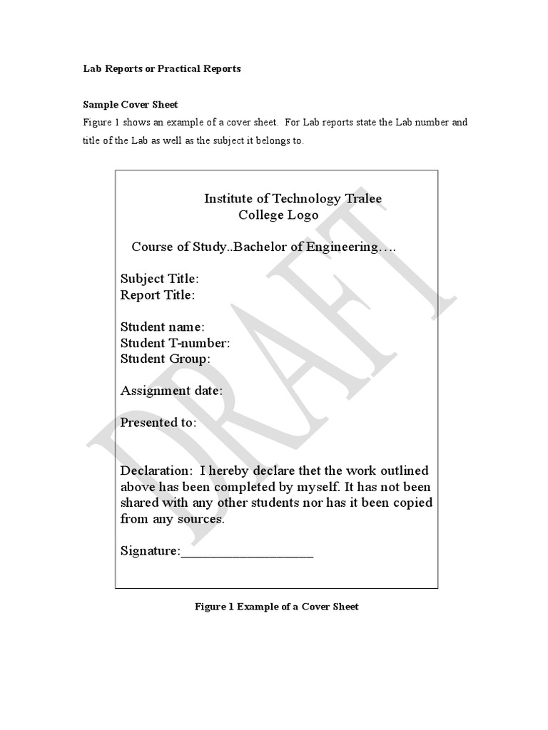 Lab Report Template Guide | PDF