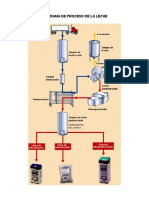 Proceso de Leche Fluida