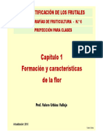 Formación y características de la flor en frutales