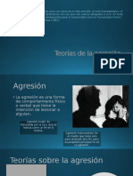 Teorías de La Agresión