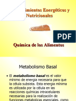 Requerimientos Energéticos y Nutricionales