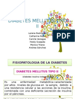 Diabetesmellitustipo21 140505233713 Phpapp02
