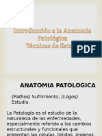 Introducción a La Anatomía Patológica