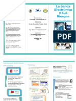 La Banca Electrónica y Sus Riesgos - Folleto