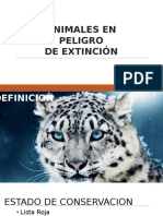 Animales en Extincion