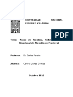 Pasos de Frontera Monografia