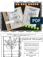 PARTSOFTHEPLANTSPANISHANDENGLISH (1)