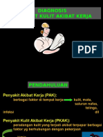 Peny Kulit Akibat Kerja