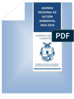 Agenda Regional de Accion Ambiental 2016 - 2018