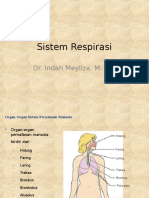 Sistem Respirasi