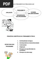 58585193 Periodizacao Na Musculacao