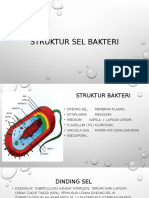 Struktur Sel Bakteri Tugas BioPPT