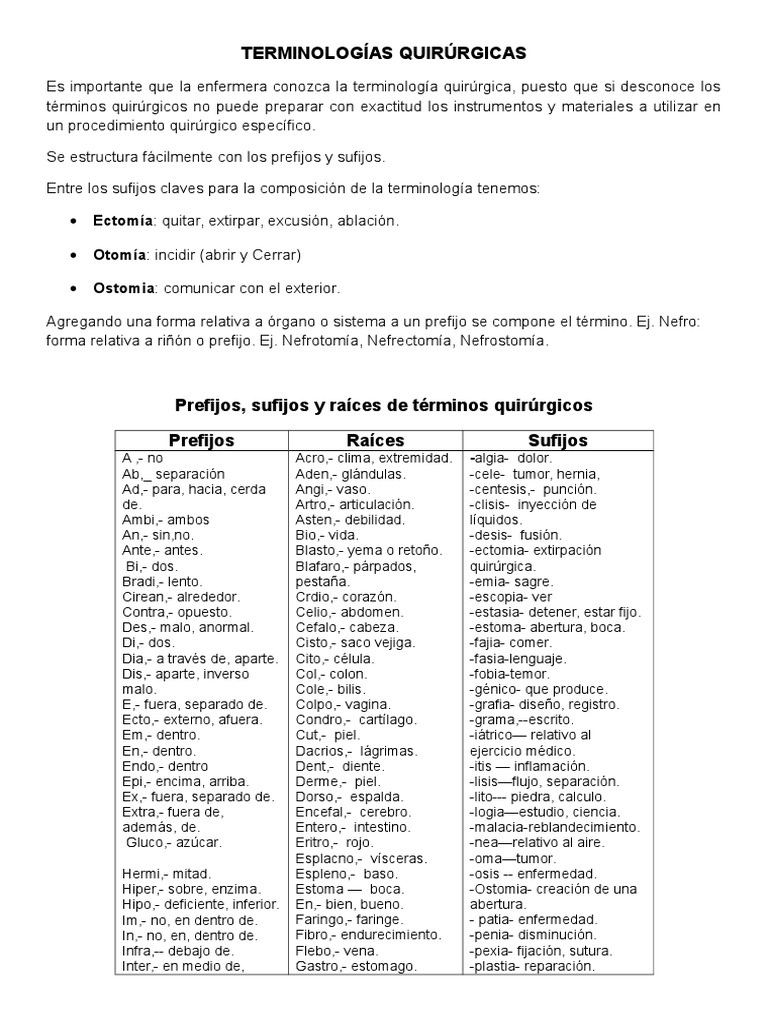Sufijos y Prefijos Riñón Anatomía humana Prueba