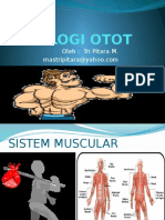 fisiologi Otot.pptx