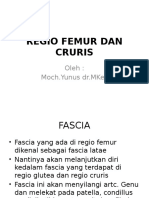 Regio Femur Dan Cruris