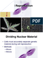2.Cell Reproduction (Mitosis)