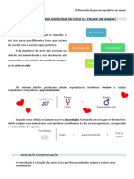 Processos reprodutivos nos animais