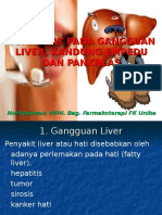 Obat Gangg Liver, Kandung Empedu&Pankreas