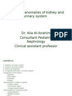 Congenital Development of Urinary System