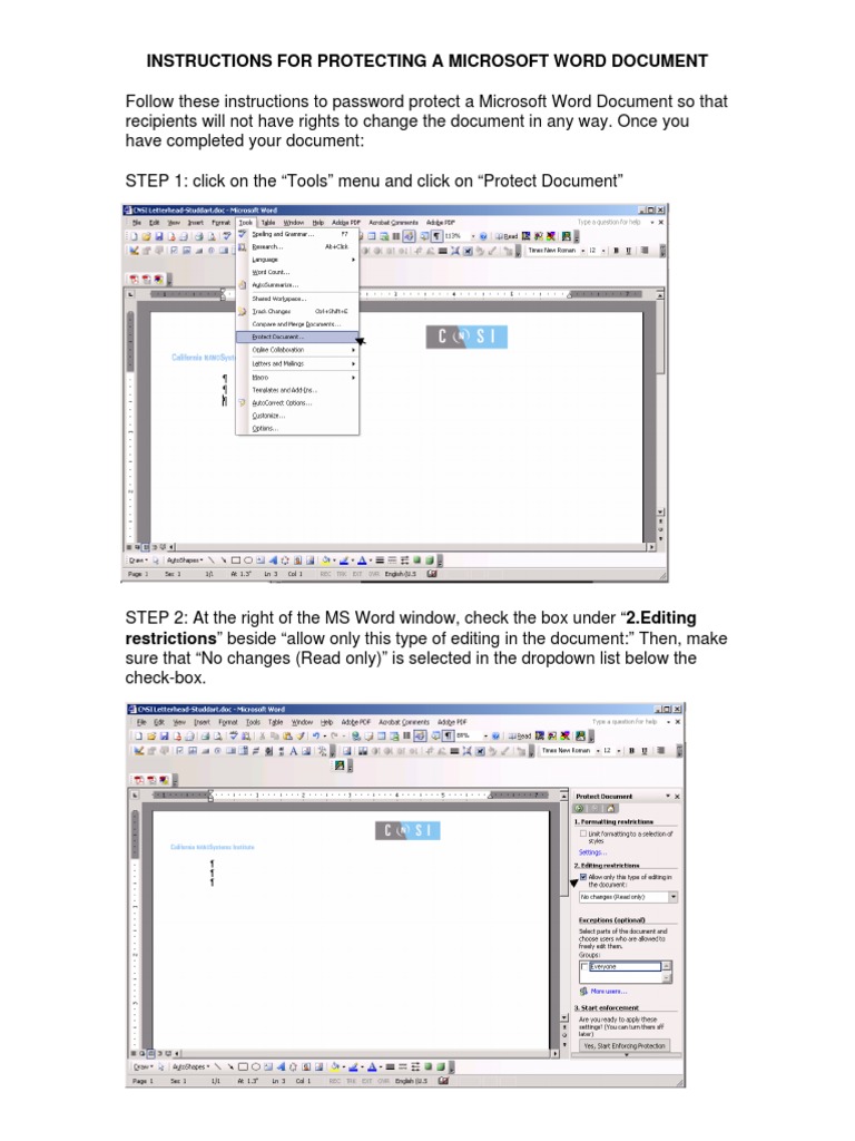 Instructions For Protecting A Microsoft Word Document | PDF