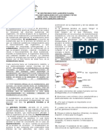 METABOLISMO EN LOS SERES VIVOS 7°