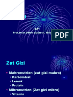 Zat Gizi