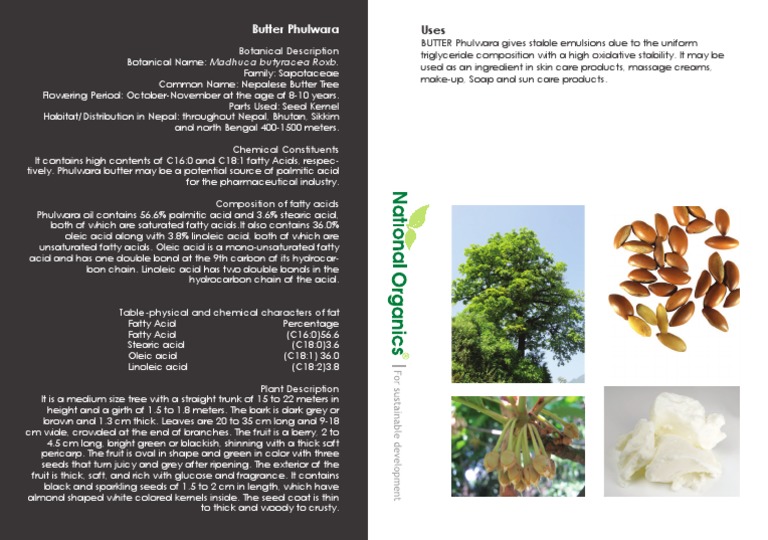 Butter Phulwara PDF Download Free PDF Chemical Compounds Chemical