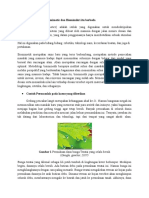 Prinsip Dan Cara Kerja Biomimetik, Biomimikri