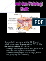 Anatomi Dan Fisiologi Kulit