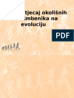 Utjecaj Okolišnih Čimbenika Na Evoluciju