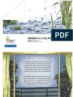 9819-wildlife-in-a-city-pond.pdf