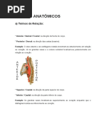 TERMOS ANATÔMICOS