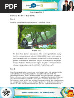 Download Evidence Cross River Gorilla by john walther yepes cortes SN347214908 doc pdf