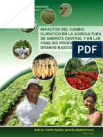 Impactos del cambio climático en la agricultura de América Central y en las familias productoras de granos básicos.