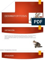 Dermatofitos