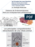 Capitulo Sistema de Endomembranas