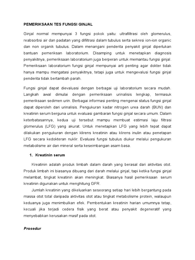 Pemeriksaan Tes Fungsi Ginjal | PDF