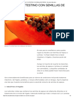Regula Tu Intestino Con Semillas de Papaya - Barcelona Alternativa