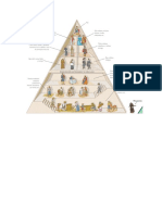 Piramide Social