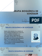 Terapia Bioquímica de Schüssler PDF